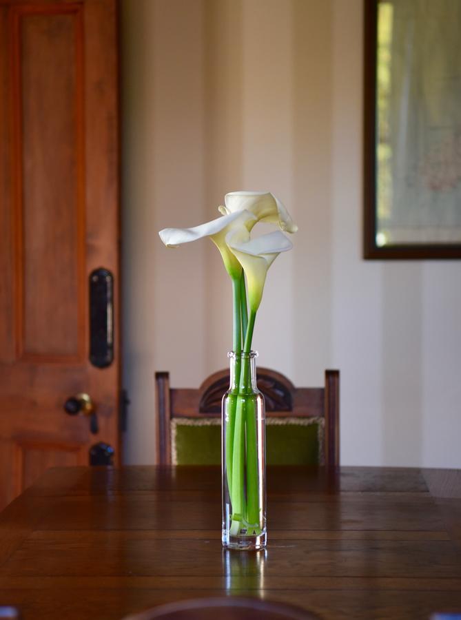 Bed and Breakfast French Bay House Akaroa Exterior foto